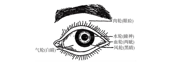 五轮学说