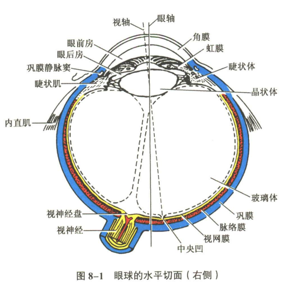 感觉器