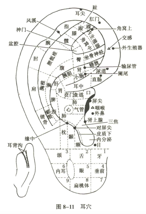 感觉器