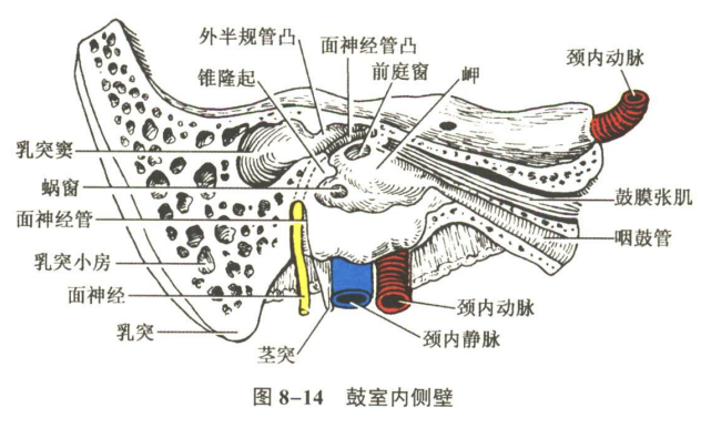 感觉器