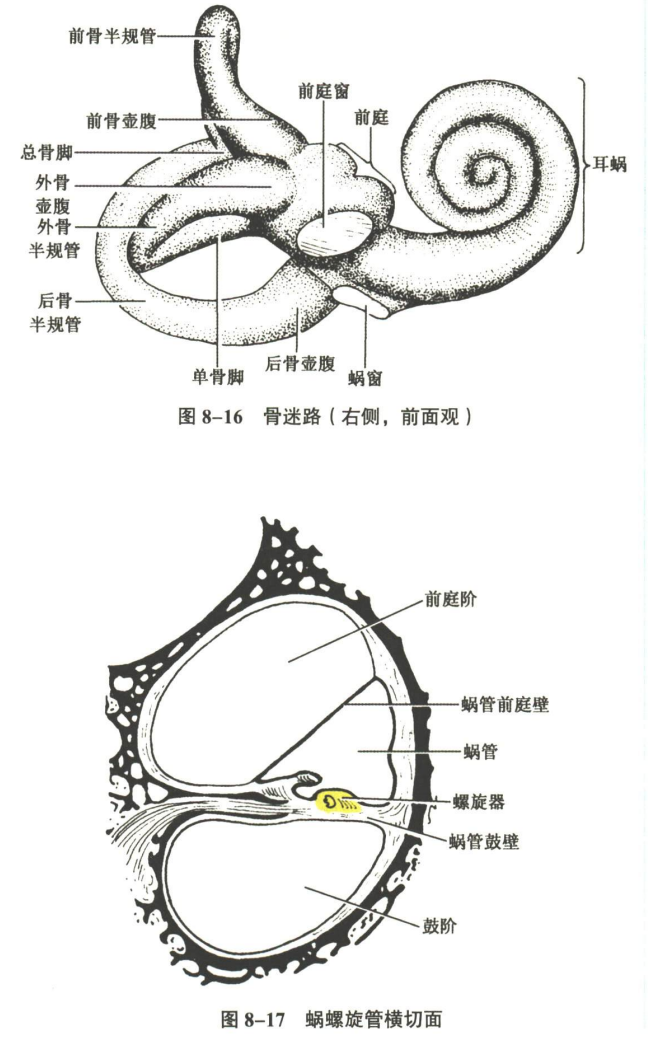 感觉器