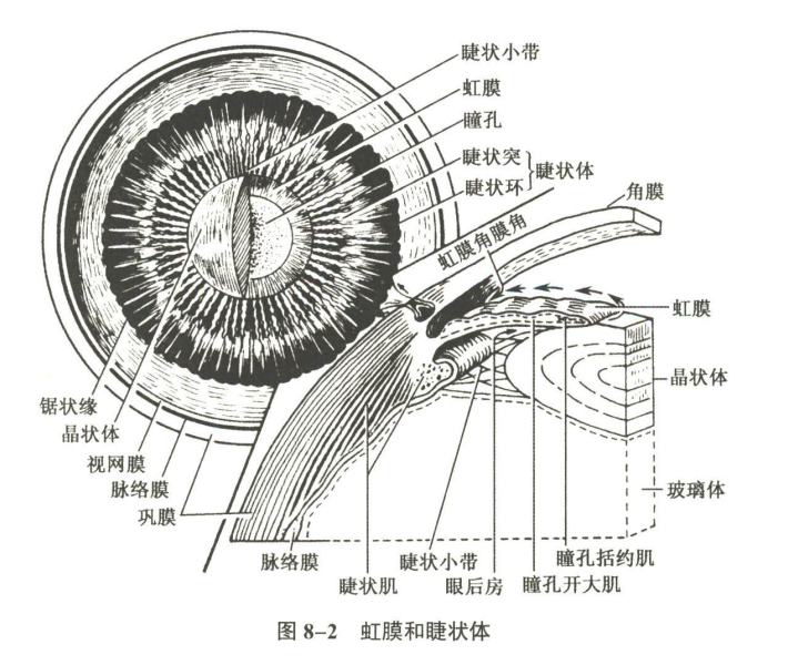感觉器