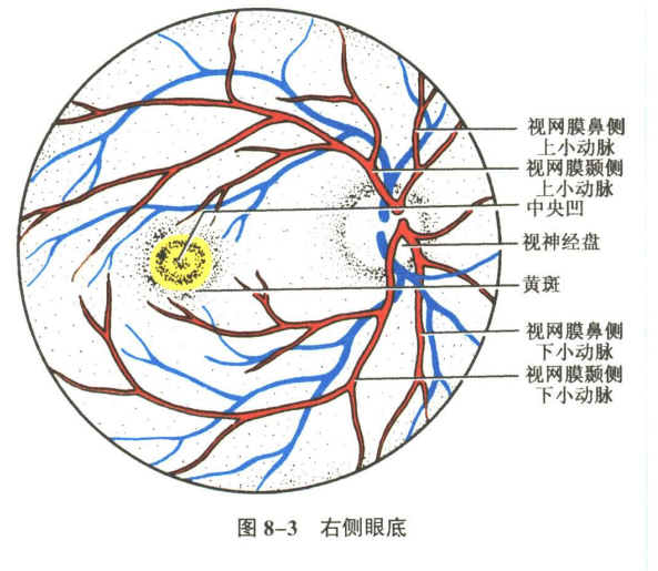 感觉器