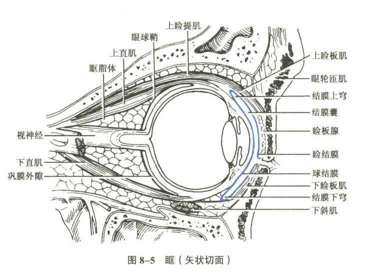 感觉器