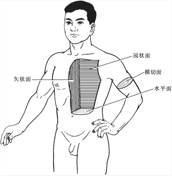 解剖