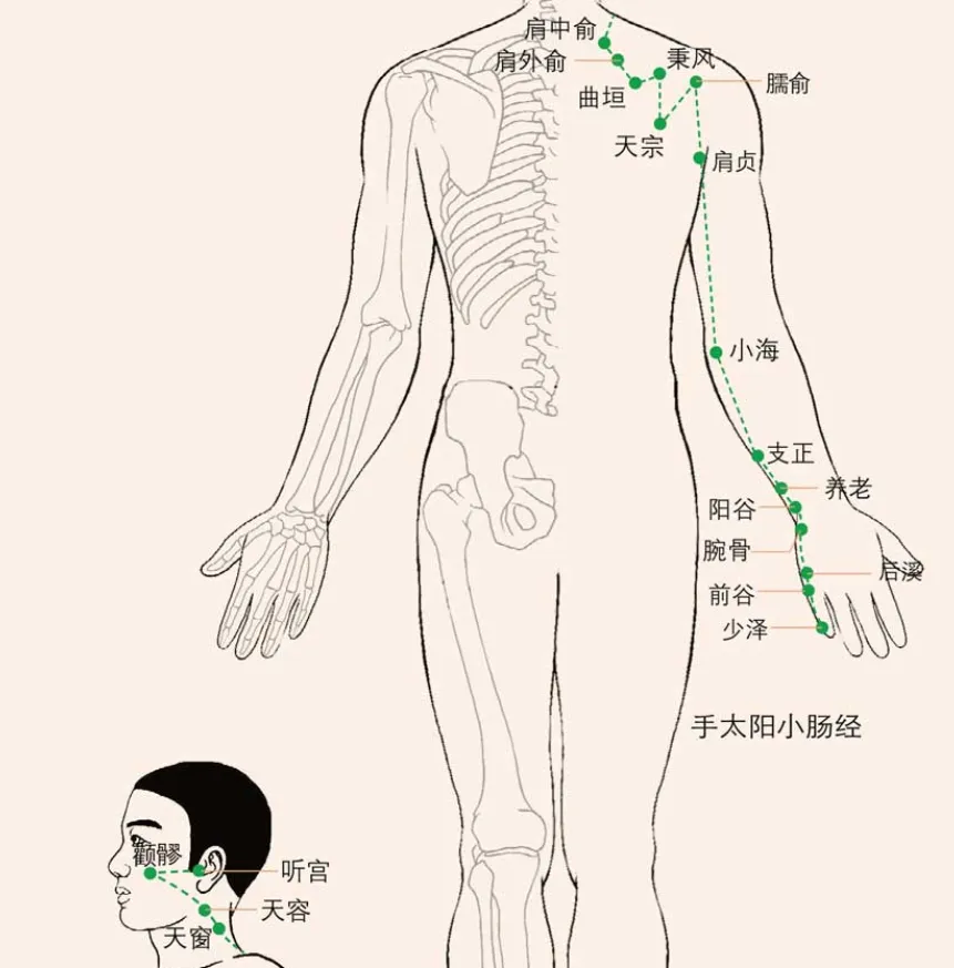 针灸学