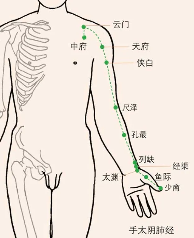 针灸学
