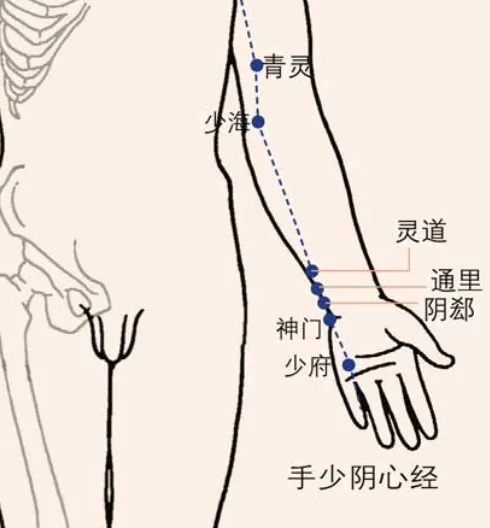 针灸学