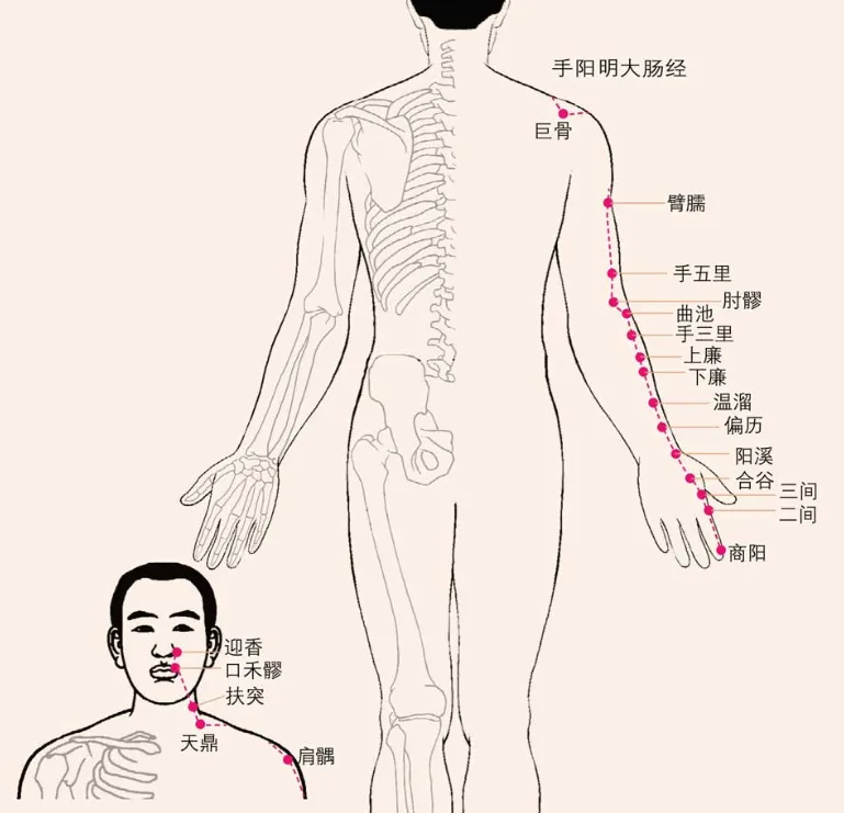 针灸学
