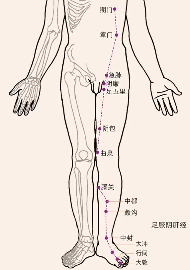 针灸学