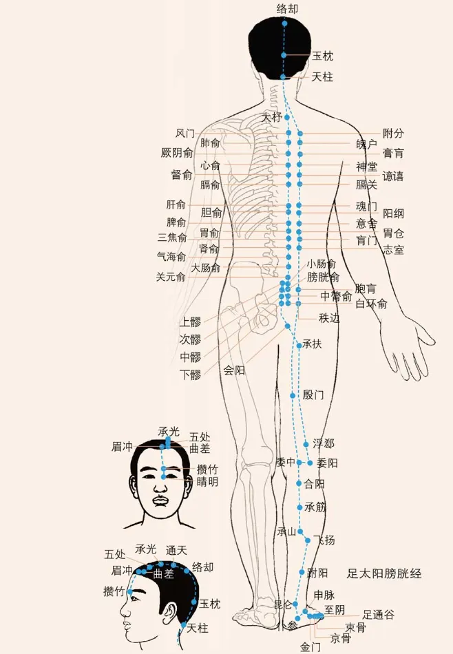 针灸学