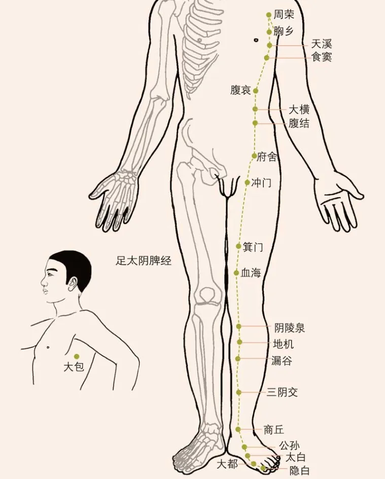 针灸学