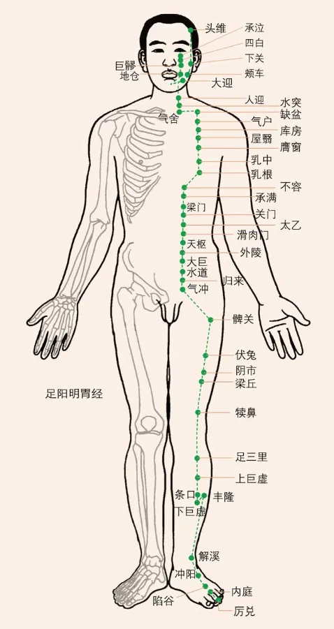 针灸学