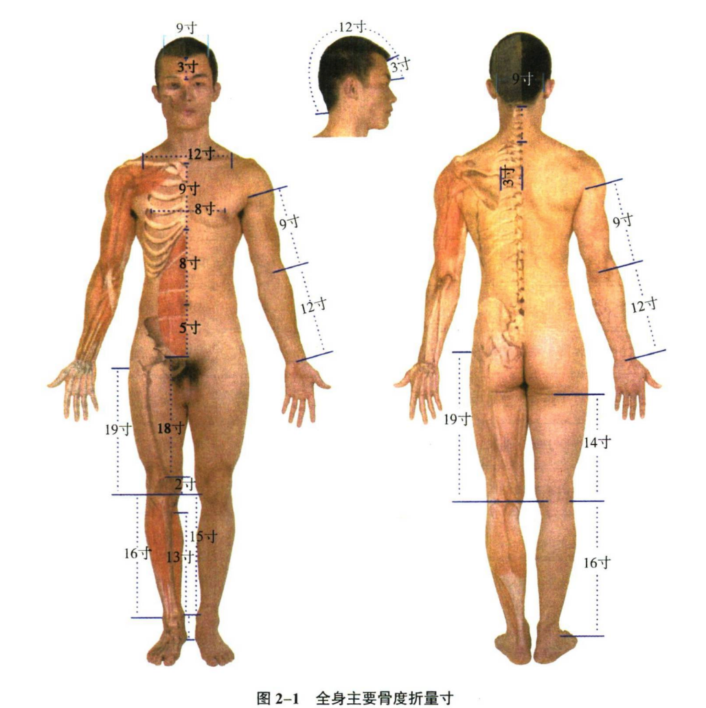 针灸学