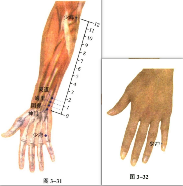 针灸学