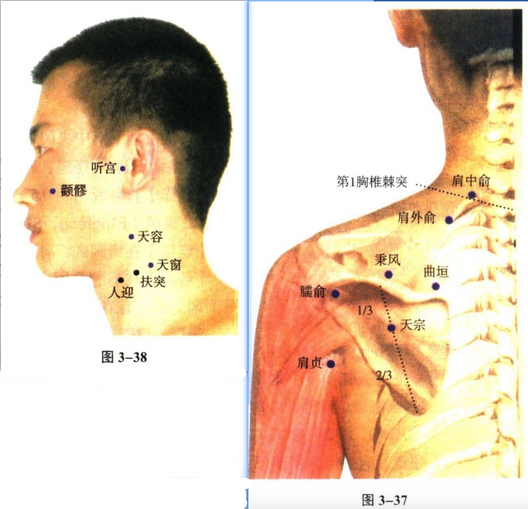 针灸学