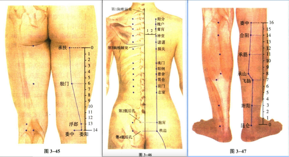 针灸学