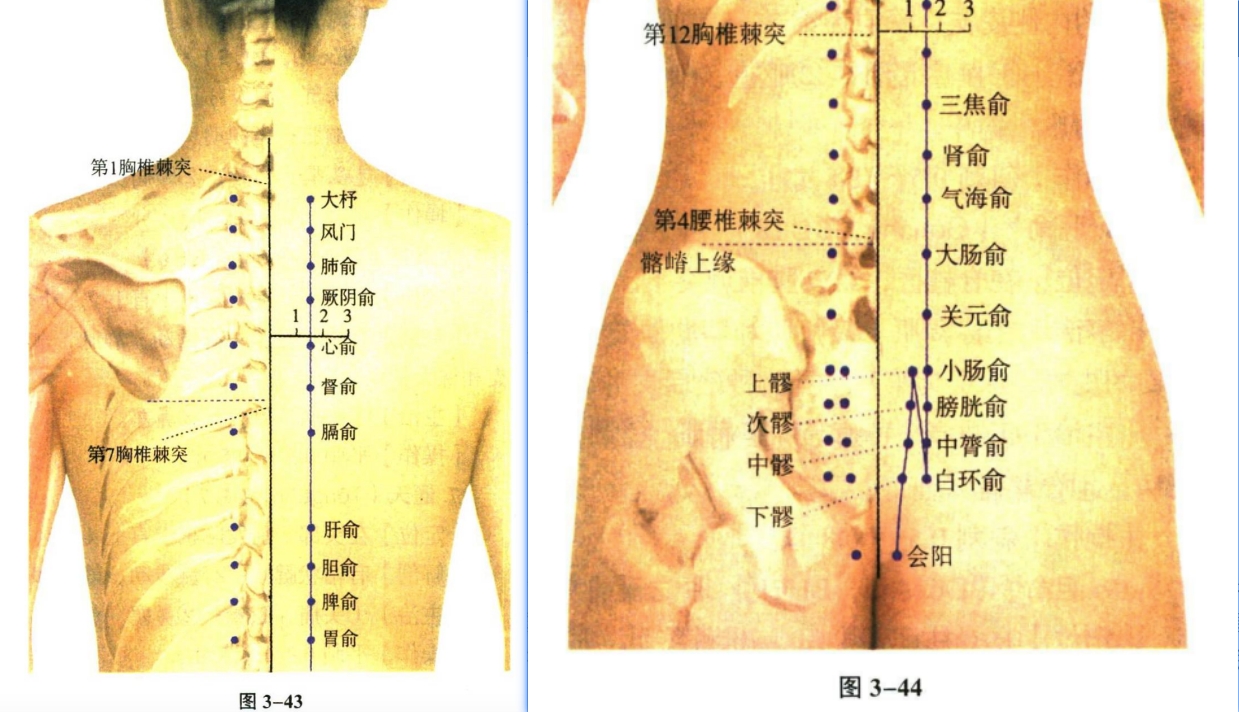 针灸学