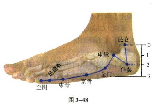 针灸学