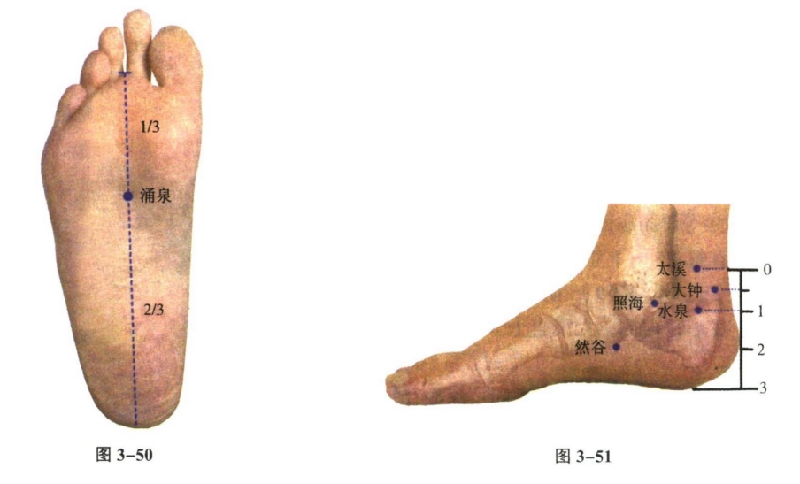 针灸学