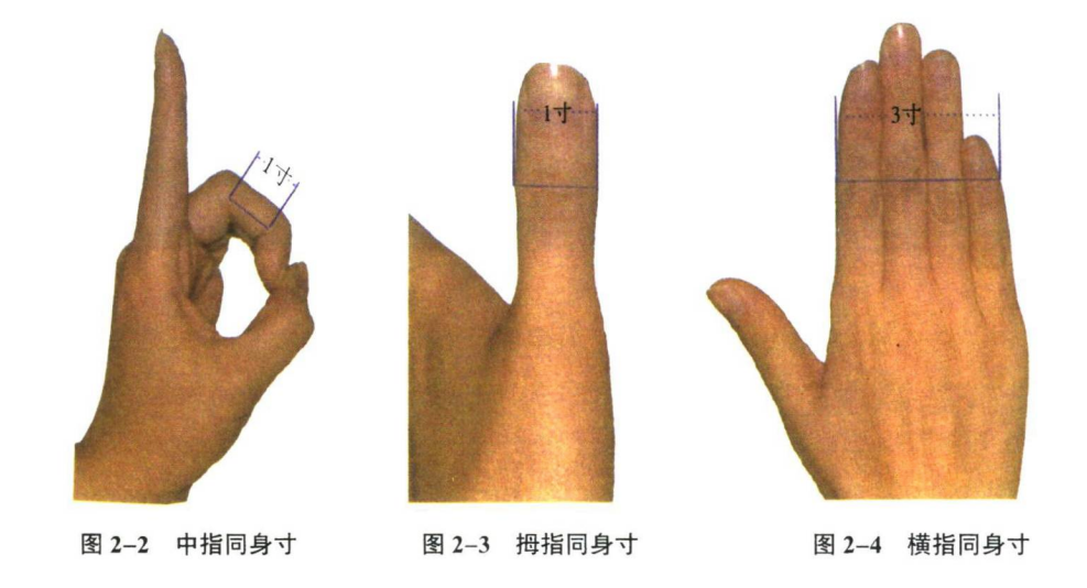 针灸学