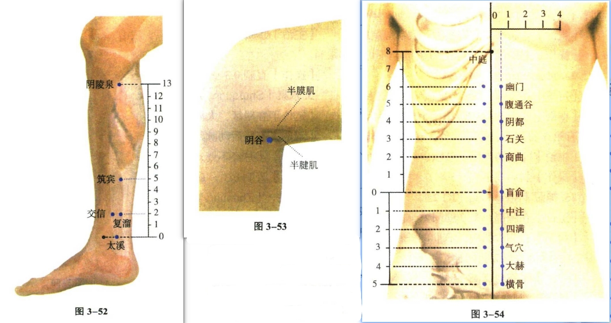 针灸学