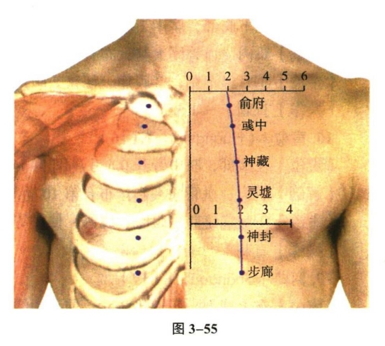 针灸学