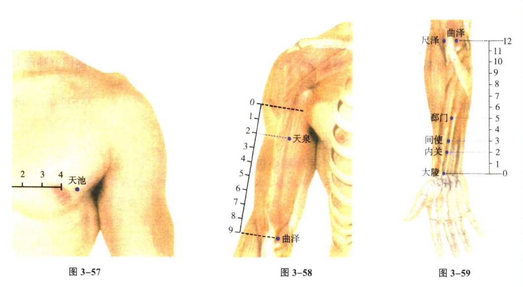 针灸学