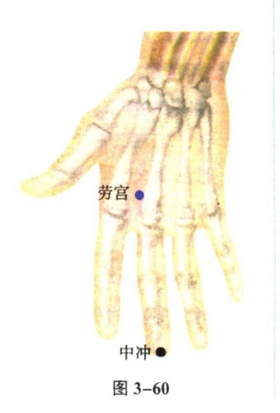 针灸学