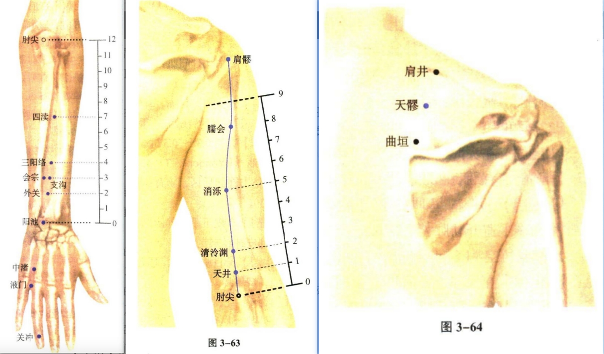 针灸学