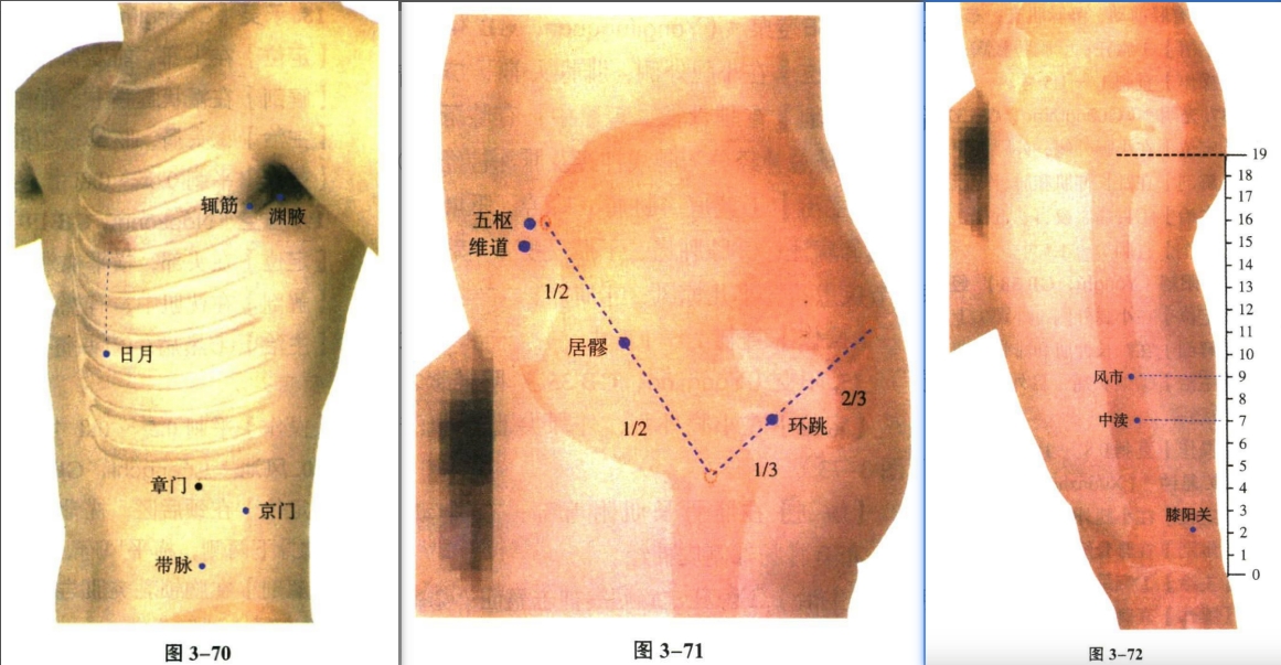 针灸学