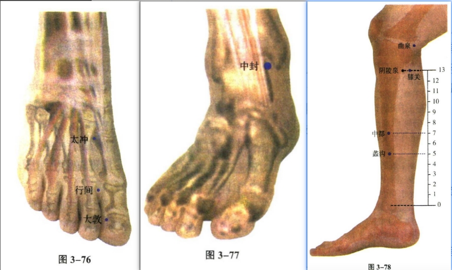 针灸学