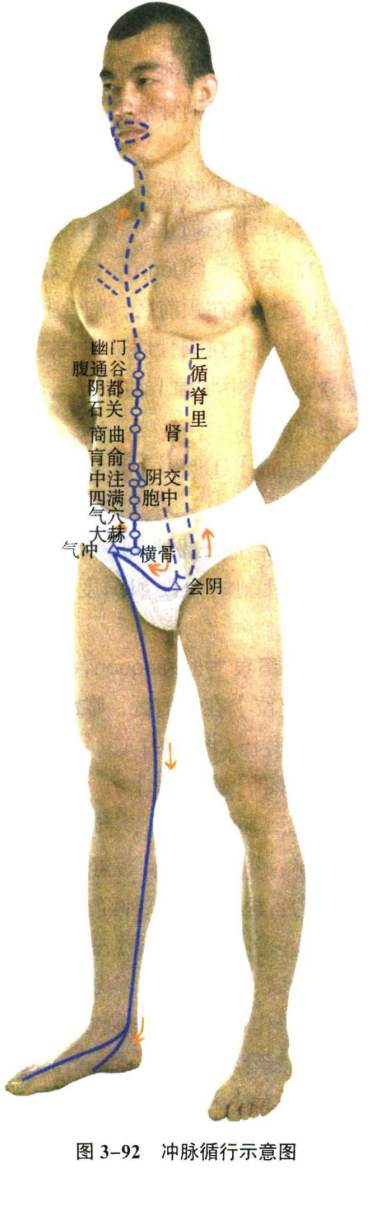 针灸学