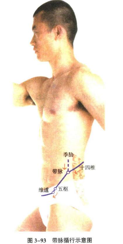 针灸学
