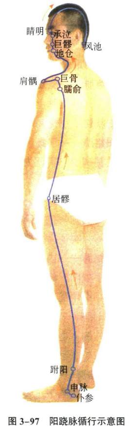 针灸学