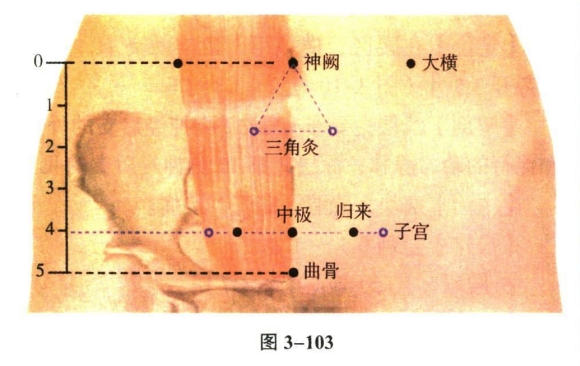 针灸学