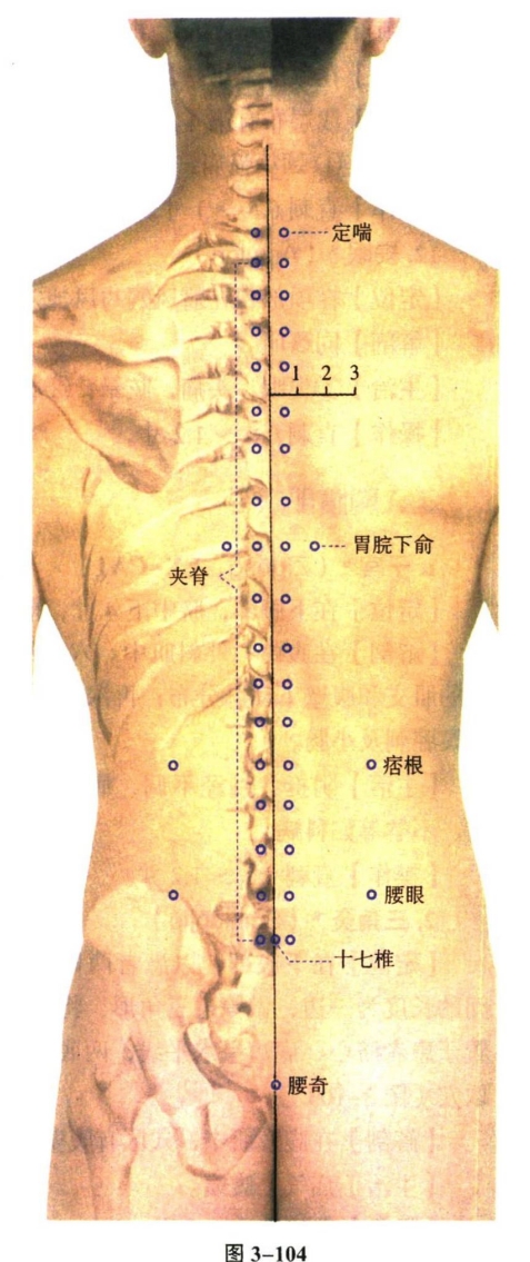 针灸学