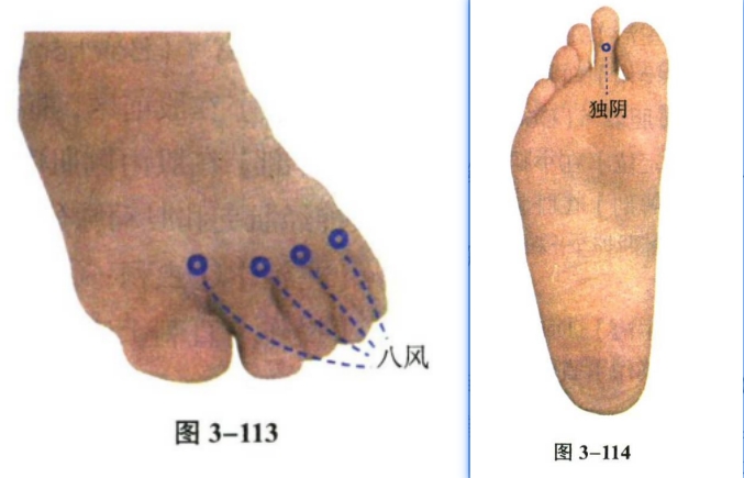 针灸学