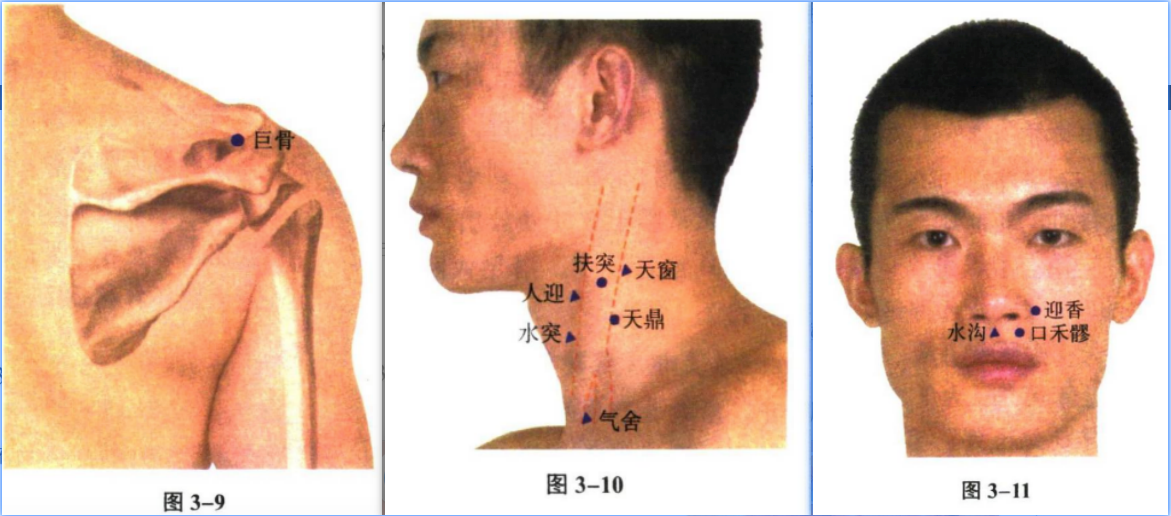 针灸学
