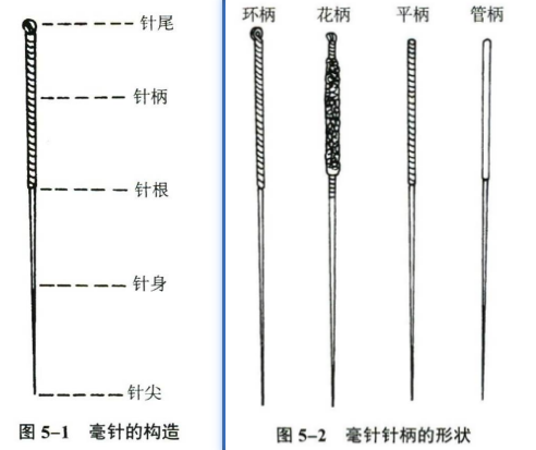 针灸学