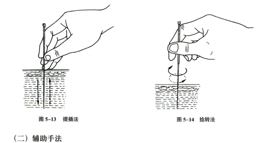 针灸学