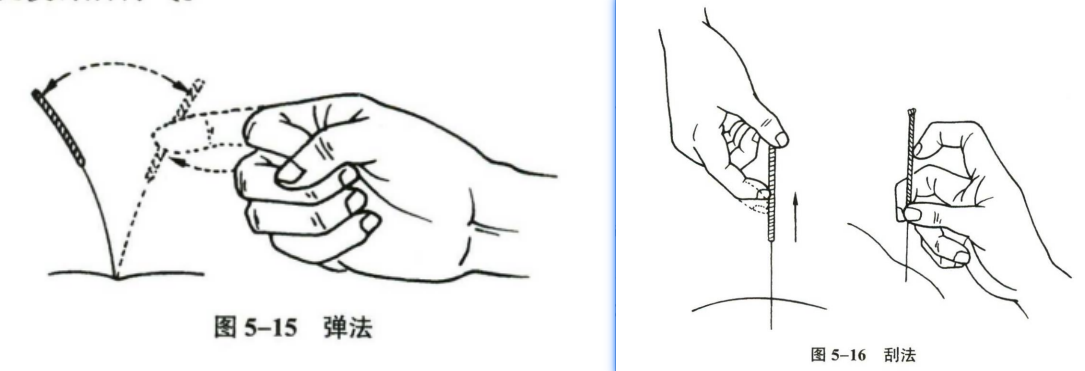 针灸学