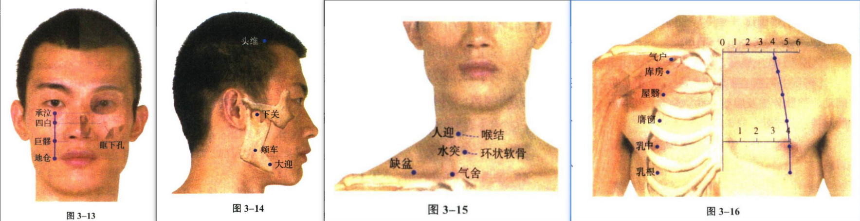 针灸学