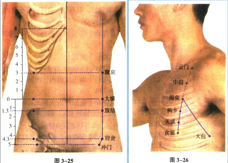 针灸学