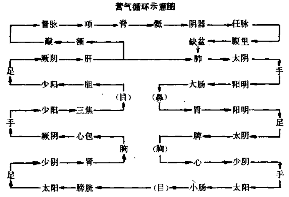灵枢
